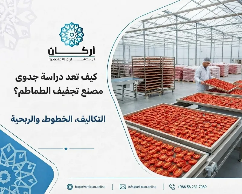 كيف تعد دراسة جدوى مصنع تجفيف الطماطم؟ التكاليف، الخطوط، والربحية