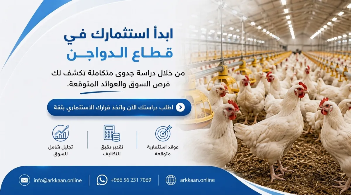 دراسة جدوى مشروع تربية الدواجن 