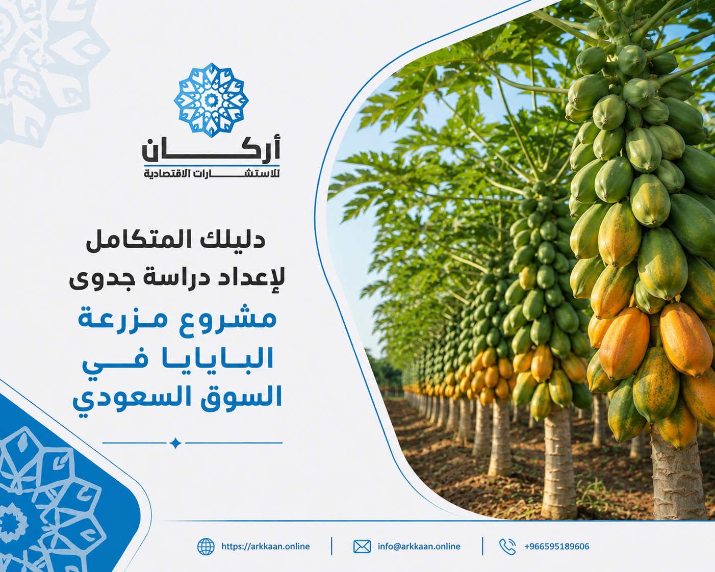 دليلك المتكامل لإعداد دراسة جدوى مشروع مزرعة البابايا في السوق السعودي