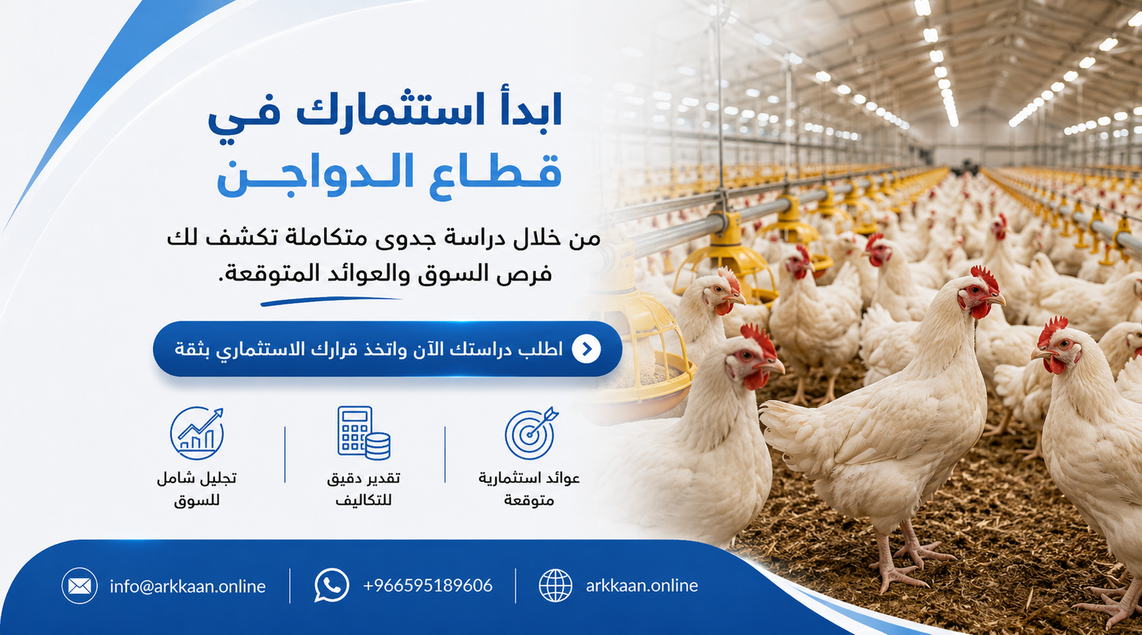 دراسة جدوى مشروع تربية الدواجن