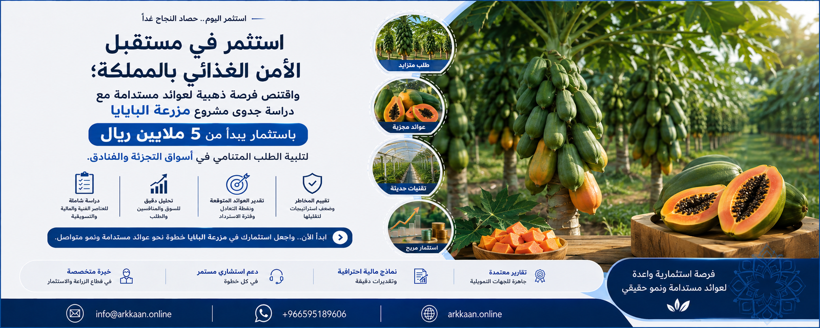 دراسة جدوى مشروع مزرعة البابايا