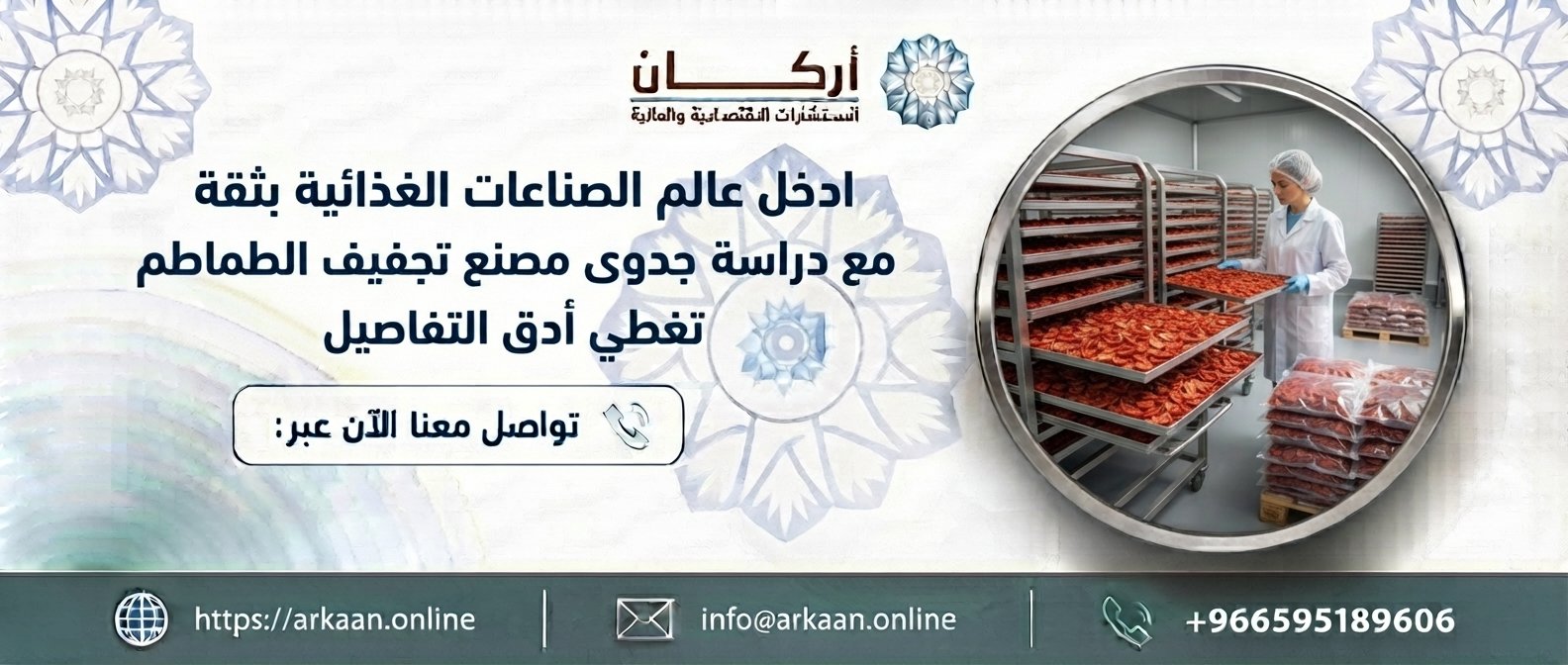 دراسة جدوى مصنع تجفيف الطماطم