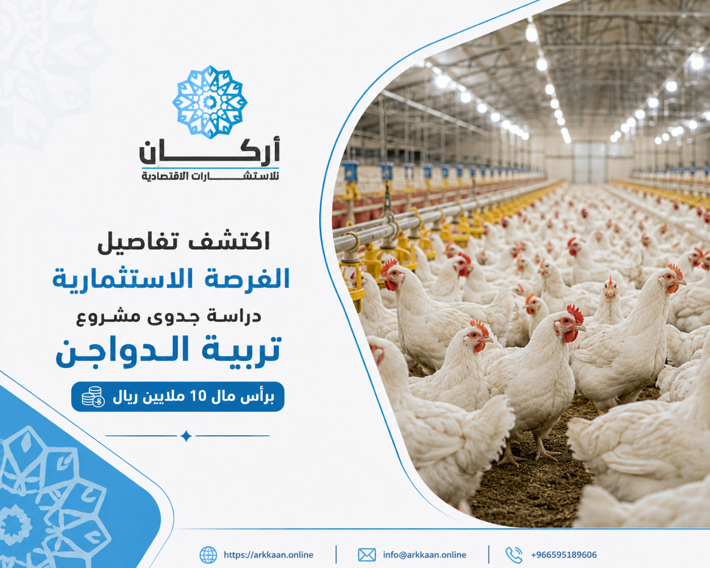 اكتشف تفاصيل الفرصة الاستثمارية دراسة جدوى مشروع تربية الدواجن برأس مال 10 ملايين ريال